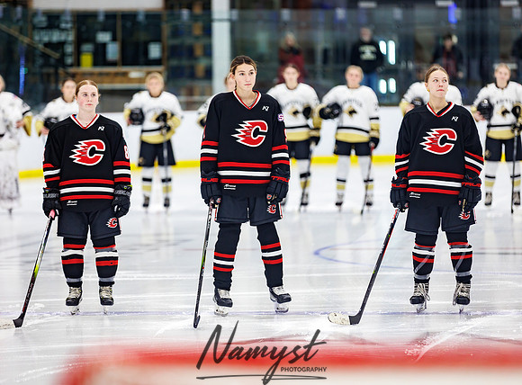 Centennial vs Andover Varsity Hockey 49