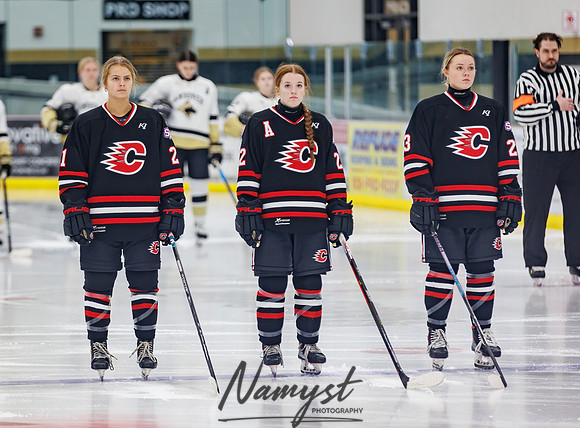 Centennial vs Andover Varsity Hockey 57