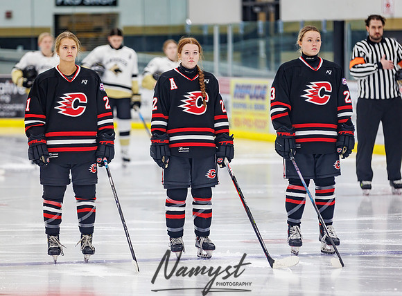 Centennial vs Andover Varsity Hockey 58