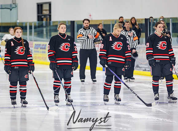 Centennial vs Andover Varsity Hockey 59