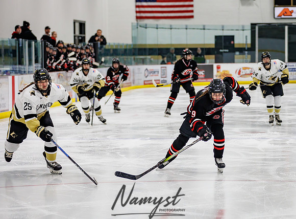 Centennial vs Andover Varsity Hockey 72