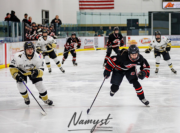 Centennial vs Andover Varsity Hockey 73