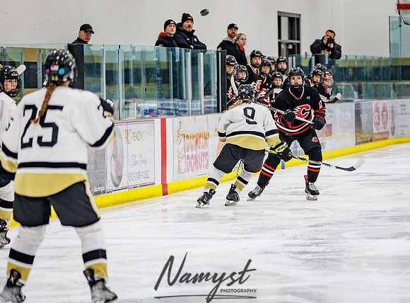 Centennial vs Andover Varsity Hockey 76