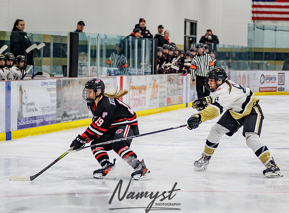 Centennial vs Andover Varsity Hockey 81