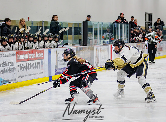Centennial vs Andover Varsity Hockey 82