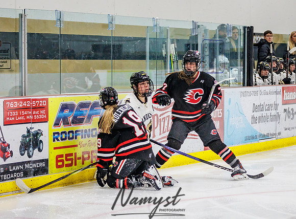Centennial vs Andover Varsity Hockey 88