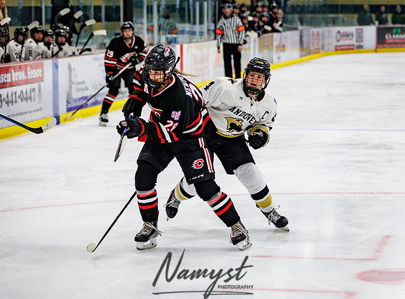 Centennial vs Andover Varsity Hockey 93