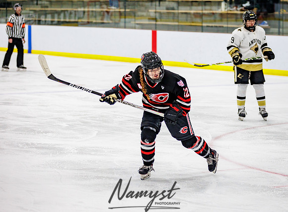Centennial vs Andover Varsity Hockey 94
