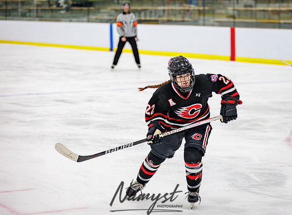 Centennial vs Andover Varsity Hockey 96