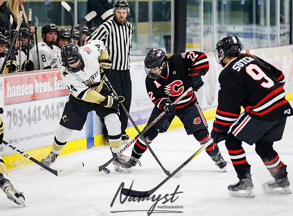 Centennial vs Andover Varsity Hockey 98