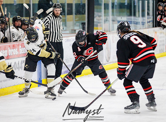 Centennial vs Andover Varsity Hockey 99