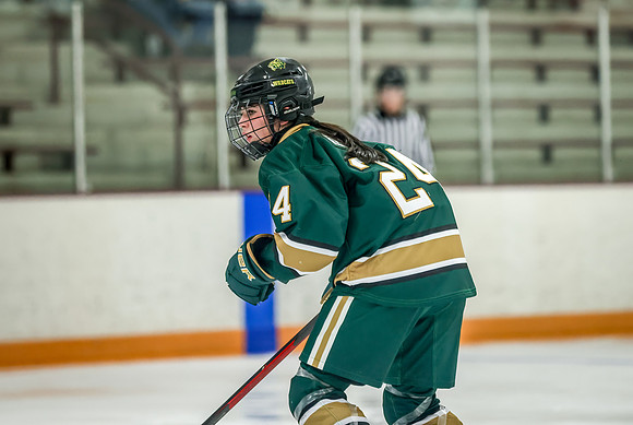 Chisago vs Forest Lake JV Hockey 203