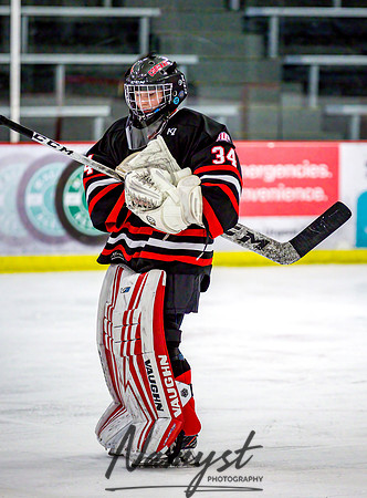 Centennial-Spring Lake Park vs Rogers Girls Varsity Hockey 490