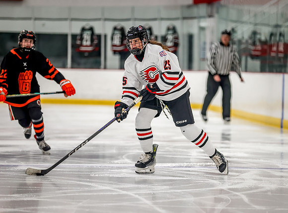 Centennial vs White Bear Lake JV Hockey 95