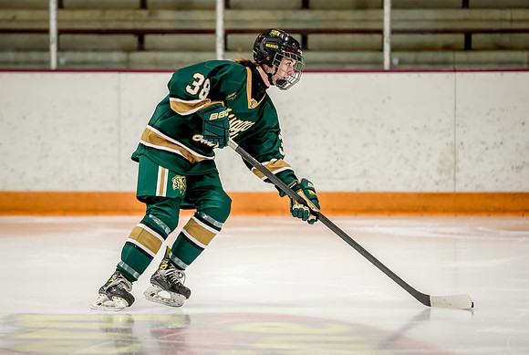 Chisago vs Forest Lake JV Hockey 10