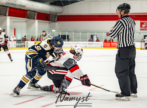 Centennial vs Wayzata JV Hockey 58
