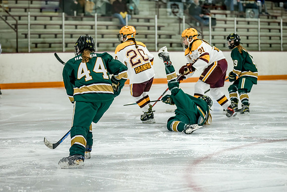 Chisago vs Forest Lake JV Hockey 192