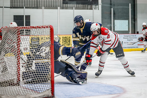Centennial vs Hermantown JV Hockey 189