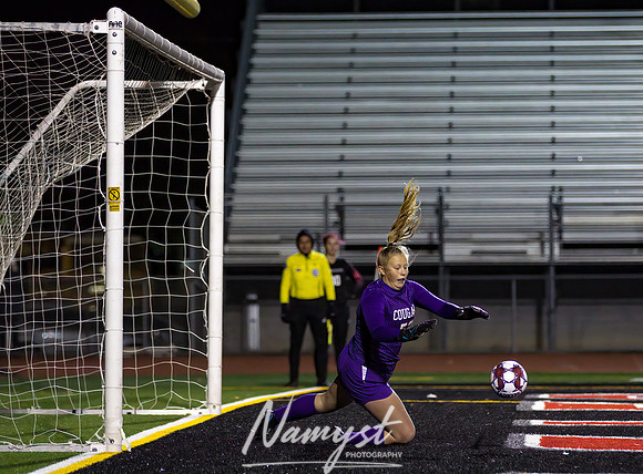 Centennial vs Wayzata Girls Varsity Soccer State Quarterfinals Game 108