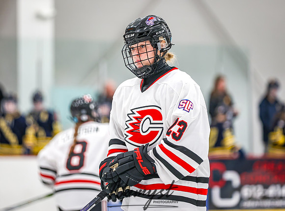 Centennial vs Wayzata Varsity Hockey 101