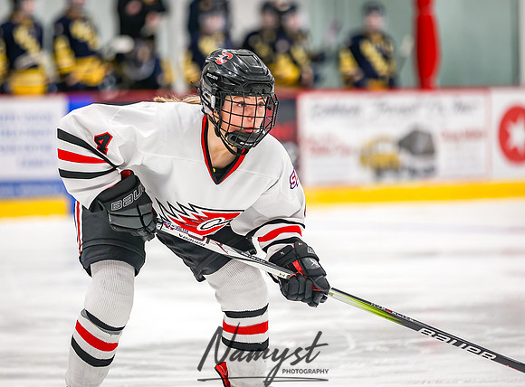 Centennial vs Wayzata Varsity Hockey 102