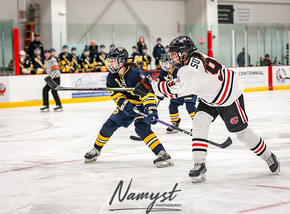 Centennial vs Wayzata Varsity Hockey 117