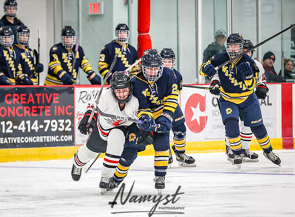 Centennial vs Wayzata Varsity Hockey 122