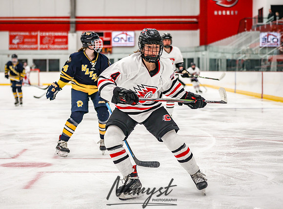 Centennial vs Wayzata Varsity Hockey 123