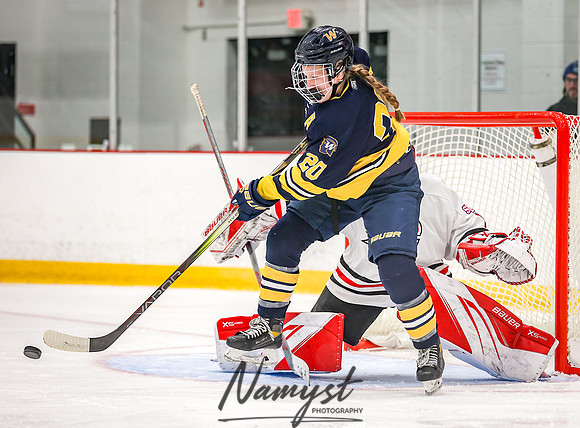 Centennial vs Wayzata Varsity Hockey 202