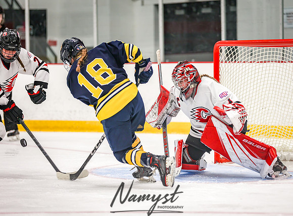 Centennial vs Wayzata Varsity Hockey 212