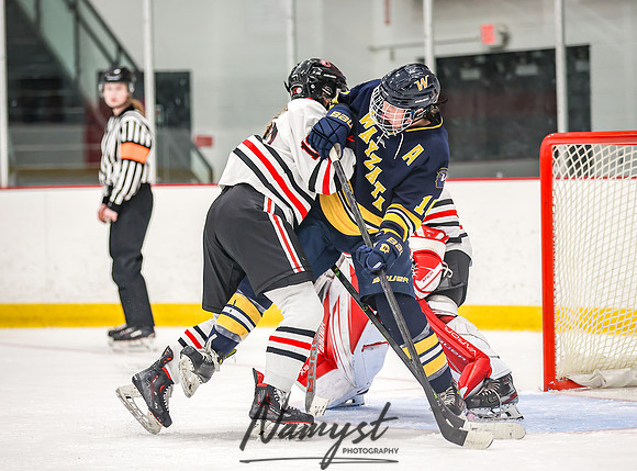 Centennial vs Wayzata Varsity Hockey 214
