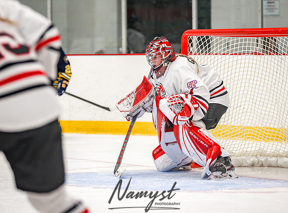Centennial vs Wayzata Varsity Hockey 223