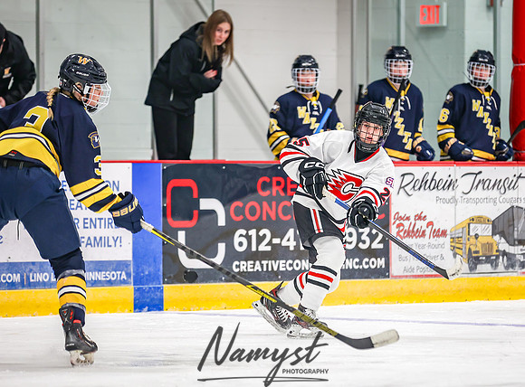 Centennial vs Wayzata JV Hockey 40