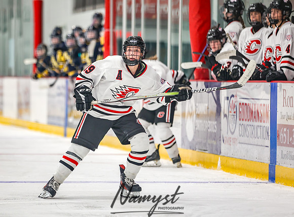 Centennial vs Wayzata Varsity Hockey 228