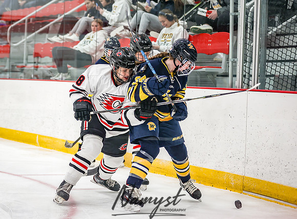 Centennial vs Wayzata JV Hockey 57