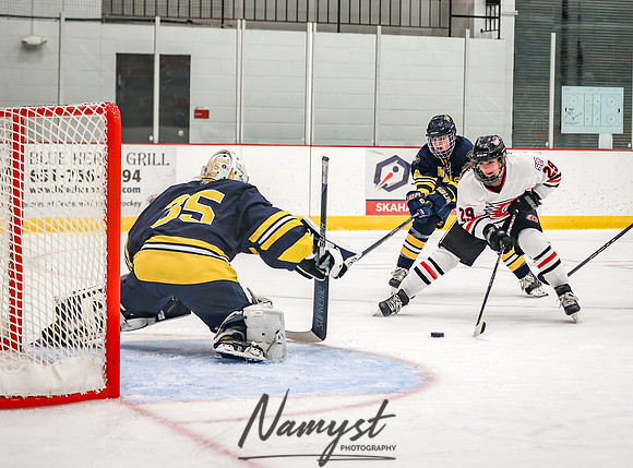 Centennial vs Wayzata Varsity Hockey 269