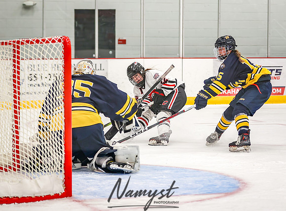 Centennial vs Wayzata Varsity Hockey 279