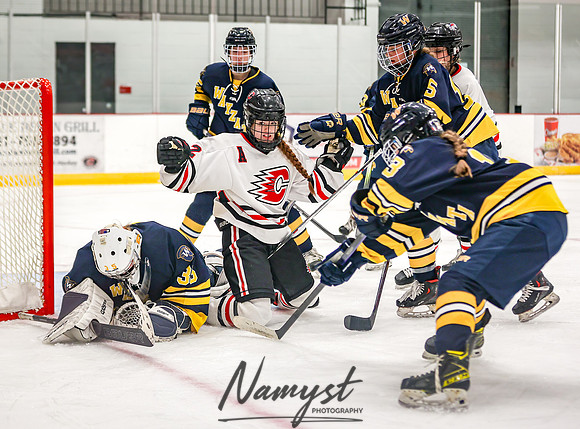 Centennial vs Wayzata Varsity Hockey 285