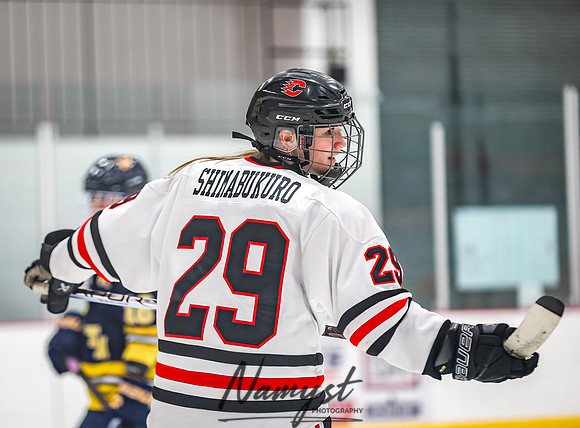 Centennial vs Wayzata Varsity Hockey 293