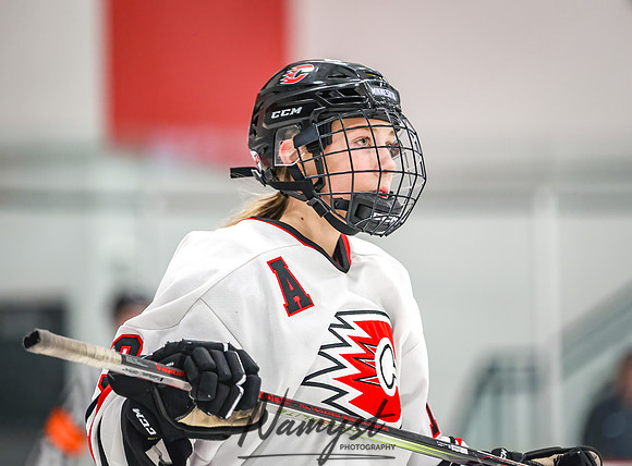 Centennial vs Wayzata Varsity Hockey 295