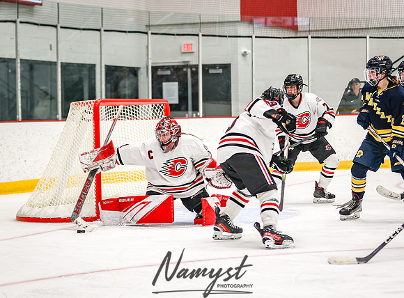 Centennial vs Wayzata Varsity Hockey 298