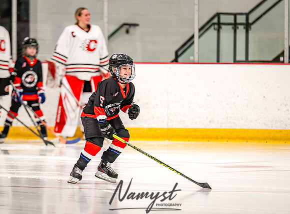 Centennial vs Wayzata Varsity Hockey 58