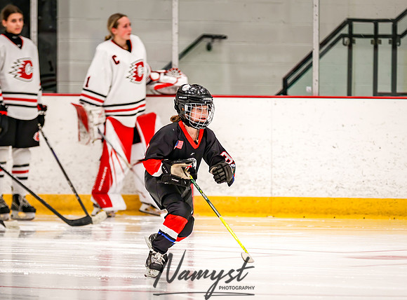 Centennial vs Wayzata Varsity Hockey 61