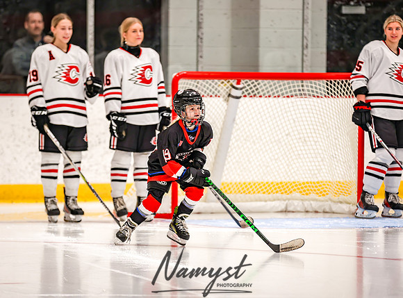 Centennial vs Wayzata Varsity Hockey 66