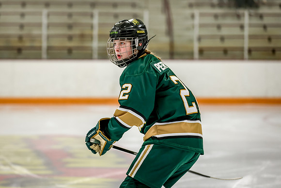 Chisago vs Forest Lake JV Hockey 7