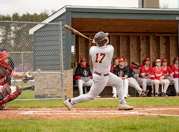 Forest Lake vs Duluth East Varsity Baseball 346