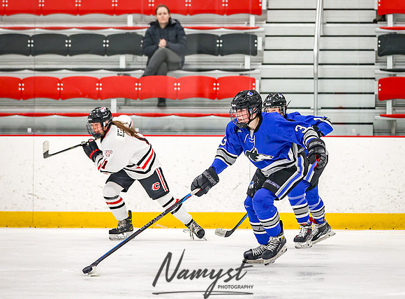 Centennial vs Owatonna JV Hockey 133
