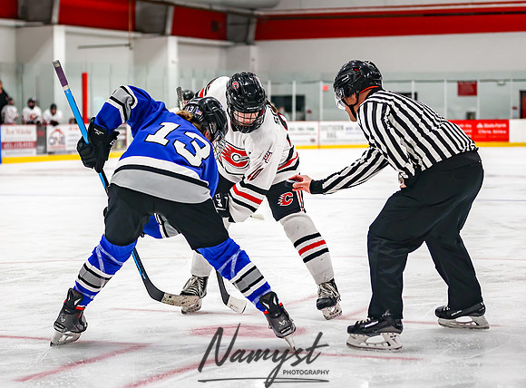 Centennial vs Owatonna JV Hockey 14
