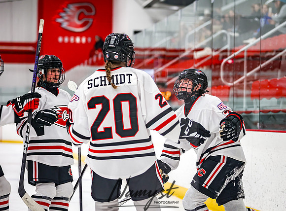 Centennial vs Owatonna JV Hockey 44