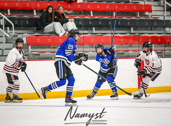 Centennial vs Owatonna JV Hockey 48